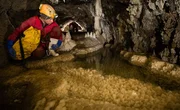 In den teils unerforschten Höhlensystemen unter Neuseeland machen die Forscher erstaunliche Entdeckungen ... In den teils unerforschten Höhlensystemen unter Neuseeland machen die Forscher erstaunliche Entdeckungen ...