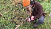 Lena entdeckt die F&auml;hrte eines Rehs.