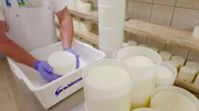 Andreas und Andrea zeigen heute auf der Alpe, wie der Sauerkäse produziert wird, der den vorarlberger Käsknöpfle ihren köstlichen Geschmack verleiht. Andreas und Andrea zeigen heute auf der Alpe, wie der Sauerkäse produziert wird, der den vorarlberger Käsknöpfle ihren köstlichen Geschmack verleiht.