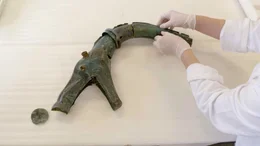 Die Gallier waren gef&uuml;rchtete Krieger. Mit eindrucksvollen Signaltrompeten bliesen sie zum Angriff und versuchten, den Feind zu demoralisieren.