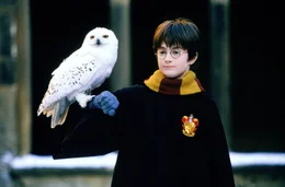 Harry Potter (Daniel Radcliffe) und Eule Hedwig.