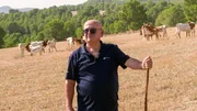 „Gezielte Beweidung“ – Juan Pedro Martínez’ Kühe tragen so zur Reduktion von Waldbränden bei. „Gezielte Beweidung“ – Juan Pedro Martínez’ Kühe tragen so zur Reduktion von Waldbränden bei.