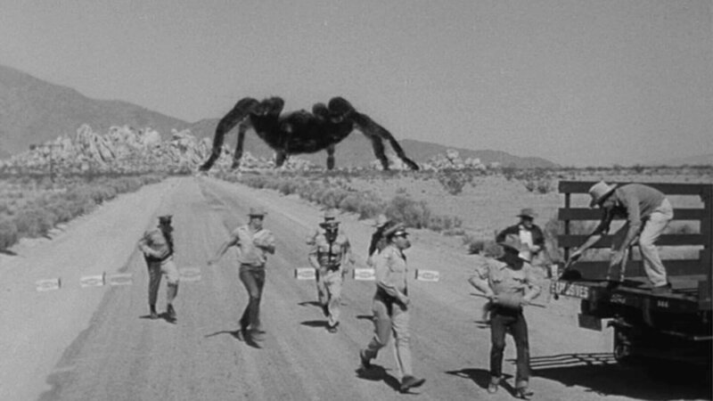 Tarantula (USA, 1955)