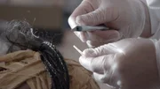 Das Haar der Inka-Mumien enth&auml;lt nach 500 Jahren noch Drogenspuren.