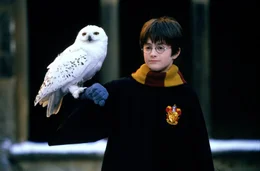 Harry Potter (Daniel Radcliffe) erh&auml;lt einen geheimnisvollen Brief, der ihm von einer Eule zugestellt wird.