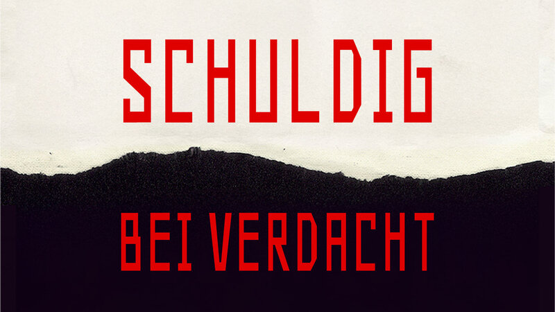Schuldig bei Verdacht (USA, 1991)
