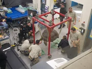 Gal&aacute;pagos turtle procedure.