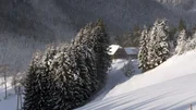 Seine "Waldheimat" hat der Volksdichter Peter Rosegger in seinen B&uuml;chern unsterblich gemacht. Gestalter Gebhard H&ouml;lzl zeigt, wie sich das Leben hier in den letzten ein, zwei Generationen ver&auml;ndert hat.