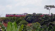 Kurz vor der Hauptstadt Yaound&eacute; auf &uuml;ber 700 Metern.