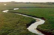 Die Serie, die über drei Jahre hinweg gefilmt wurde, feiert die unglaubliche Vielfalt der Flora und Fauna, die in Belgien zu finden ist. In diesem Teil: die Wasserwelt. Die Serie, die über drei Jahre hinweg gefilmt wurde, feiert die unglaubliche Vielfalt der Flora und Fauna, die in Belgien zu finden ist. In diesem Teil: die Wasserwelt.