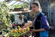 Maria Inonseco (Irina Potapenko) rückt ins Zentrum der Ermittlungen. Hat sie Friedel Tanners Vertrauen erschlichen und im Auftrag der Familie Rache geübt? Maria Inonseco (Irina Potapenko) rückt ins Zentrum der Ermittlungen. Hat sie Friedel Tanners Vertrauen erschlichen und im Auftrag der Familie Rache geübt?