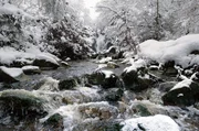Kristallklares Wasser eines Flusses im belgischen Winter. Kristallklares Wasser eines Flusses im belgischen Winter.