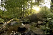 Von den Höhen der Ardennen bis zu den niedrig gelegenen Deichen Flanderns formt das Wasser die Gebiete und bestimmt den Reichtum ihrer Biodiversität. Von den Höhen der Ardennen bis zu den niedrig gelegenen Deichen Flanderns formt das Wasser die Gebiete und bestimmt den Reichtum ihrer Biodiversität.
