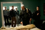 Gemeinsam versuchen sie einen Mord aufzuklären: Gibbs (Mark Harmon, 2.v.r.), Ziva (Cote de Pablo, r.), Tony (Michael Weatherly, 2.v.l.), McGee (Sean Murray, l.) und Special Agent Courtney Krieger (Dorian Brown, M.) ... Gemeinsam versuchen sie einen Mord aufzuklären: Gibbs (Mark Harmon, 2.v.r.), Ziva (Cote de Pablo, r.), Tony (Michael Weatherly, 2.v.l.), McGee (Sean Murray, l.) und Special Agent Courtney Krieger (Dorian Brown, M.) ...