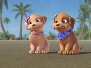 Die Hundewelpen Taffy (l.) und Rookie freuen sich über die aufregende Reise, auf der sie Barbie und ihre Schwestern begleiten dürfen. Die Hundewelpen Taffy (l.) und Rookie freuen sich über die aufregende Reise, auf der sie Barbie und ihre Schwestern begleiten dürfen.