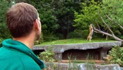 ARD/NDR LEOPARD, SEEBÄR UND CO. FOLGE 104, "Die Nandus sind los!", am Donnerstag um 16:10 Uhr im ERSTEN. Uwe Fischer bespaßt die Tigerdame. ARD/NDR LEOPARD, SEEBÄR UND CO. FOLGE 104, "Die Nandus sind los!", am Donnerstag um 16:10 Uhr im ERSTEN. Uwe Fischer bespaßt die Tigerdame.