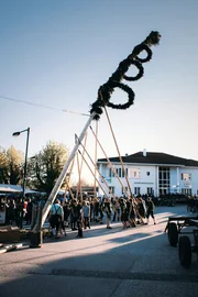 Maibaum der Gemeinde Ried in der Riedmark beim Aufstellen Maibaum der Gemeinde Ried in der Riedmark beim Aufstellen
