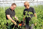 Frank Buchholz (r.) auf dem Gem&uuml;sehof Freese bei Heiko Freese. Er bewirtschaftet einen Biohof mit Schwerpunkt Gem&uuml;seanbau.