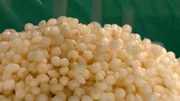 Uetze ist das einzige Anbaugebiet f&uuml;r die Silberzwiebel in Deutschland. Die kleine wei&szlig;e Zwiebel wird direkt nach der Ente gesch&auml;lt und an Sauerkonservenhersteller geliefert.