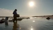 Estero Morua ist eine Salzwasser-Lagune im Golf von Kalifornien. Das stehende Gewässer ist ein idealer Ort für die Produktion von Meeresfrüchten. Estero Morua ist eine Salzwasser-Lagune im Golf von Kalifornien. Das stehende Gewässer ist ein idealer Ort für die Produktion von Meeresfrüchten.