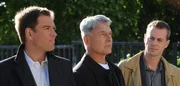 Ermitteln in einem neuen Mordfall: Gibbs (Mark Harmon, M.), Tony (Michael Weatherly, l.) und McGee (Sean Murray, r.). Ermitteln in einem neuen Mordfall: Gibbs (Mark Harmon, M.), Tony (Michael Weatherly, l.) und McGee (Sean Murray, r.).