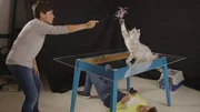 Milan und Boris suchen ein Antwort darauf, warum Katze Tara es geschafft hat, den aggressiven Nachbarshund zu verscheuchen. Dazu filmen sie die Katze beim einem Sprung. Milan und Boris suchen ein Antwort darauf, warum Katze Tara es geschafft hat, den aggressiven Nachbarshund zu verscheuchen. Dazu filmen sie die Katze beim einem Sprung.