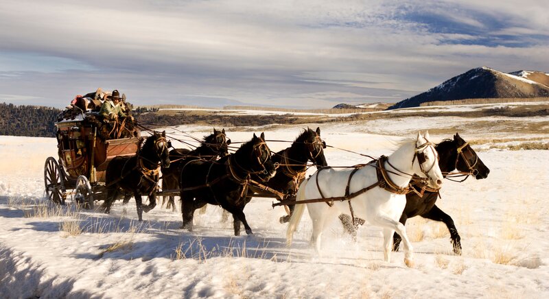 The Hateful 8 (USA, 2015)