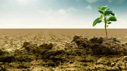 Die Dokumentation zeigt, wie Klimaschutz, wirtschaftliche Entwicklung und politische Interessen miteinander verwoben sind und warum die Antworten auf die Klimakrise so unterschiedlich ausfallen. Zur COP31 beleuchtet die ZDF-Dokumentation, welche Herausforderungen die Klimakrise in Äthiopien, Indien und Deutschland mit sich bringt. Die Dokumentation zeigt, wie Klimaschutz, wirtschaftliche Entwicklung und politische Interessen miteinander verwoben sind und warum die Antworten auf die Klimakrise so unterschiedlich ausfallen. Zur COP31 beleuchtet die ZDF-Dokumentation, welche Herausforderungen die Klimakrise in Äthiopien, Indien und Deutschland mit sich bringt.