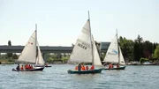 Segelboote der Segelschule Hofbauer auf der alten Donau.