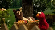 Elmo und Pferd wollen Kuchen zur kranken Tante bringen, doch jemand hindert sie an ihrem Vorhaben. Elmo und Pferd wollen Kuchen zur kranken Tante bringen, doch jemand hindert sie an ihrem Vorhaben.