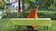 Der TanzTapir-Geburtstag 4 Der TanzTapir-Geburtstag 4