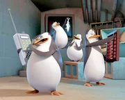 Based on the characters in the hit DreamWorks Animation "Madagascar" feature films, Nickelodeon's new CG animated comedy series, The Penguins of Madagascar, features the all-new adventures of Skipper, Kowalski, Rico and Private, four penguins brothers who believe they lead an elite strike force from a Central Park Zoo headquarters.Ę The series will premiere on Nickelodeon on Saturday, March 29.Ę L-R