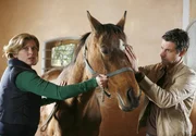 hr-fernsehen TIERISCH VERLIEBT, Spielfilm, Deutschland 2009, Regie: Ariane Zeller, am Sonntag (30.03.14) um 15:15 Uhr.
Tierarzt Sebastian (Gregor Törzs) untersucht Katherinas (Valerie Niehaus) erkrankte Zuchtstute.