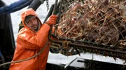 Deckhand Eddie Uwekoolani on the Time Bandit.