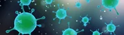 Virus Bakterien Keime Mikrobiologie