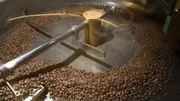 Coffee Beans in a Torrefaction Machine
