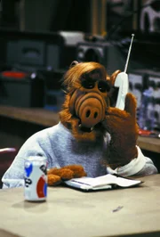 Alf