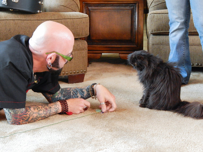 Katzenflüsterer Jackson Katzenflüsterer Jackson