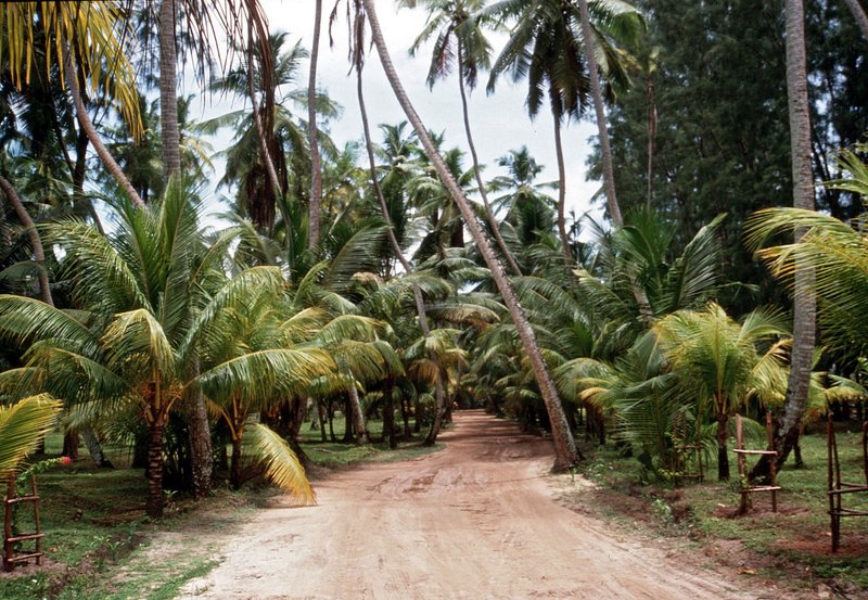 Traumziel Seychellen (D, 2013)