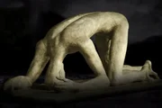 Keinem Sterblichen wurde ein so tragisches Schicksal zuteil wie Ödipus. Die Götter hatten seinen Vater Laios und seine Nachkommen mit einem Fluch belegt …...