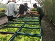 Filming in one of the greenhouses on Ascension Island. (credit: National Geographic)