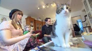 Nadine (30) und Ben (24) leben zusammen mit Nadines Sohn Ryan (6) und drei Katzen in einer etwas chaotischen Wohnung. Das Paar hat sich vor vier Jahren in einem Forum über japanische Comics kennengelernt. Die ganze Wohnung steht voll mit Figuren, Puppen und Plüschtieren aus Japan.