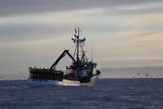 The Northwestern hits the open water with Edgar Hansen at the helm.