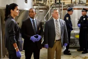 V.l.: Det. Jane Rizzoli (Angie Harmon), Det. Barry Frost (Lee Thompson Young) und Det. Vince Korsak (Bruce McGill) werden zu einem Mord in einer Bierbrauerei gerufen. Die Spuren führen sie zu einem virtuellen Rollenspiel.