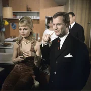 SWR Fernsehen STEWARDESSEN, "Der Star", am Mittwoch (13.11.13) um 00:25 Uhr.
Szenenfoto