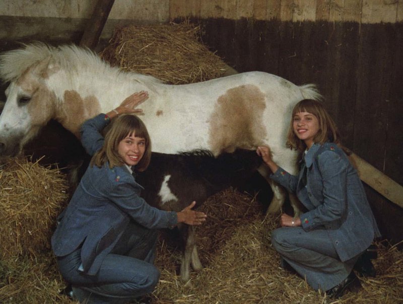 Frühling auf Immenhof Bilder TV Wunschliste