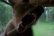 Seit mehr als 20 Jahren lebt Charlie Vandergaw als Einsiedler in der Wildnis Alaskas. Aber selbst in dieser Abgeschiedenheit ist er nicht so allein, wie man denken könnte: Denn Charlie teilt sich sein Leben und sein Territorium rund um die kleine Hütte mit einer wilden Bärenpopulation. Über die Jahre konnte der tierliebe Sonderling eine außergewöhnliche ' wenn auch umstrittene ' Beziehung zu den Bären aufbauen. Doch egal ob neugieriger Schwarzbär oder riesiger Grizzly: Im Umgang mit den wilden Raubtieren ist absolute Vorsicht geboten.