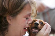 Hurricane Katrina refugee Valerie Bennett, of Slidell, La., presses her face to her dog, Lady, after they were reunited at Emory Hospital in Atlanta, Wednesday, Sept. 7, 2005. She and her husband, Lorne, had to leave behind four of their pets when Lorne, a liver transplant patient, had to be evacuated in the wake of Hurricane Katrina, to a liver specialist for supervision. (AP Photo/John Amis)