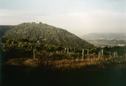 Leopoldsberg.