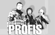 Die Profis